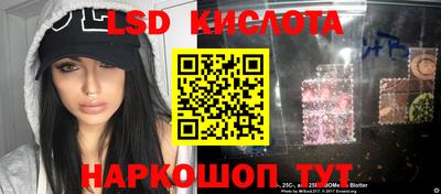 твердый Новозыбков