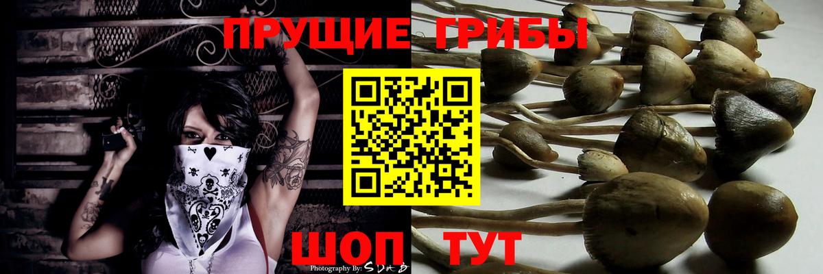 ГАШ  МДМА  Вход с VPN  МЕФ   Славгород  ГАШИШ  Канабис  Кокаин 