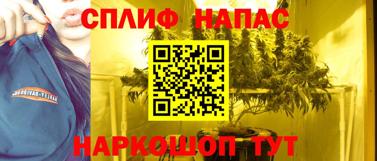 Бошки марихуана SATIVA & INDICA  Вход с VPN  Славгород  Конопля SATIVA & INDICA  Бошки Шишки сатива 